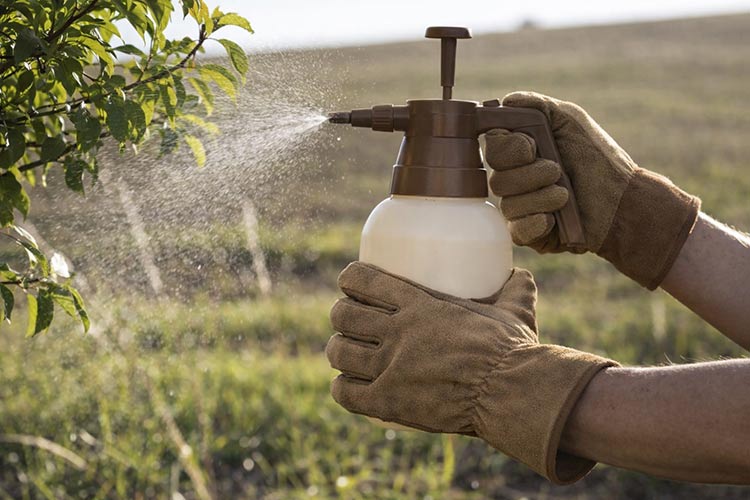 Fitofarmacija KZ Medvode