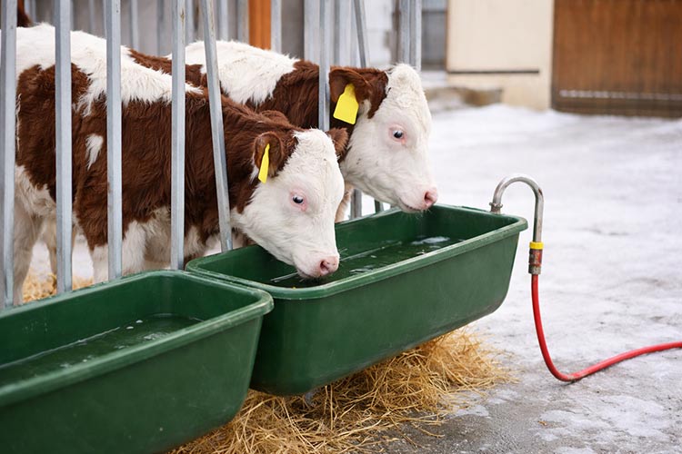 Pašna in hlevska oprema