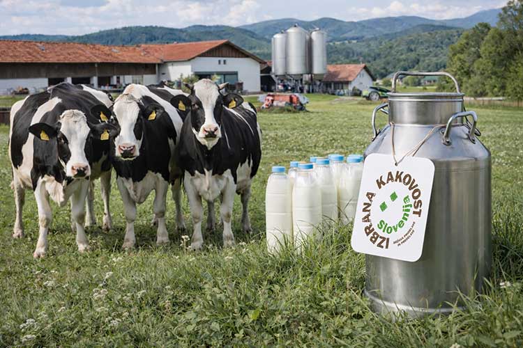 Odkup Kmetijska zadruga Medvode