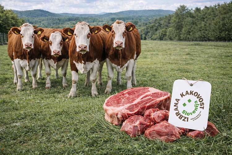 Odkup Kmetijska zadruga Medvode